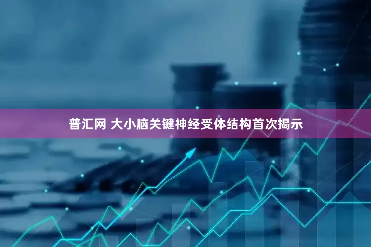 普汇网 大小脑关键神经受体结构首次揭示