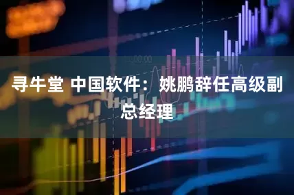 寻牛堂 中国软件：姚鹏辞任高级副总经理
